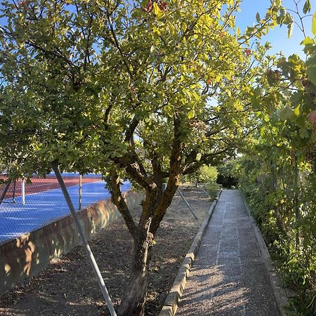 Casa Los Rosales アルファカール エクステリア 写真