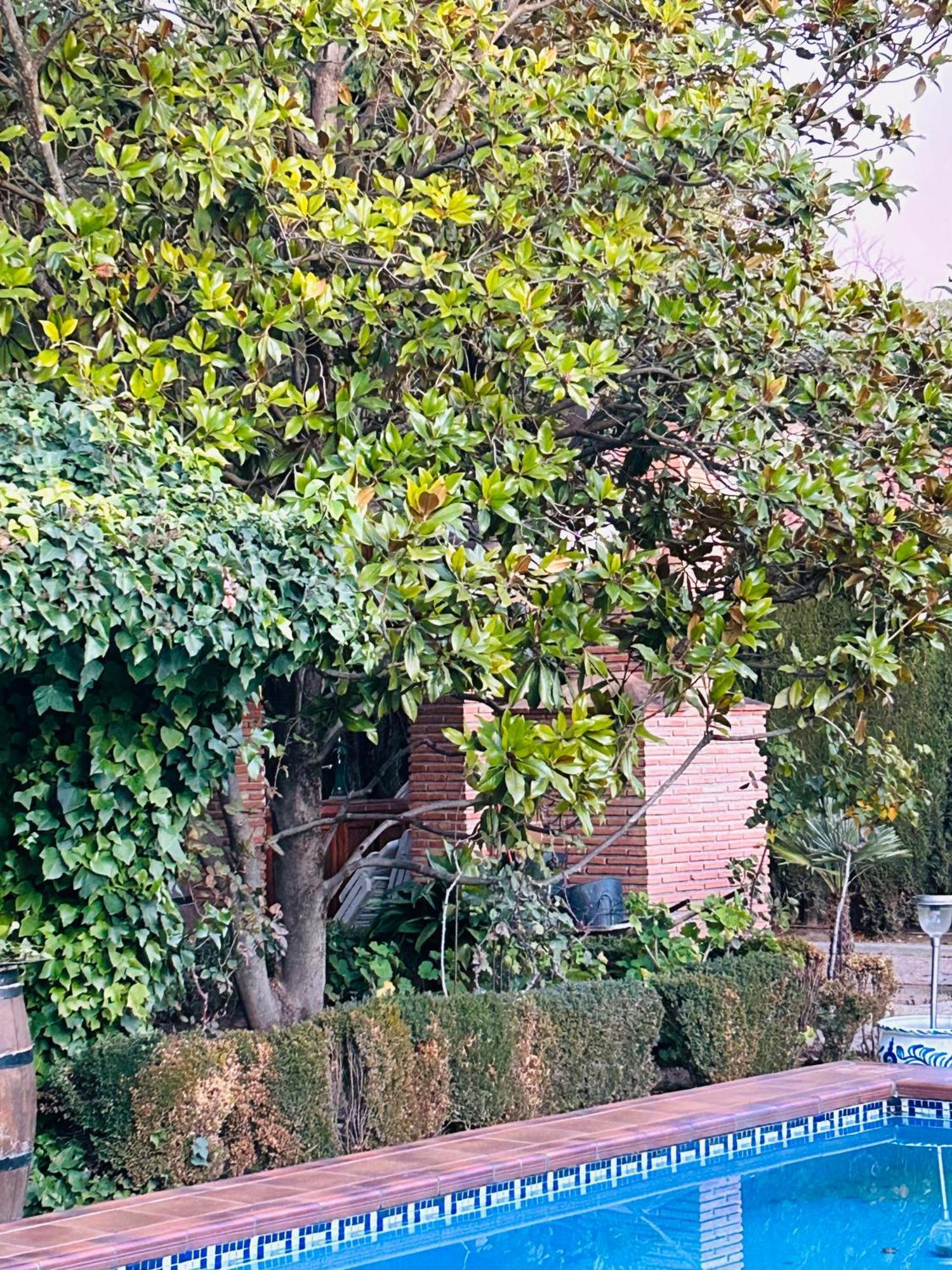 Casa Los Rosales アルファカール エクステリア 写真