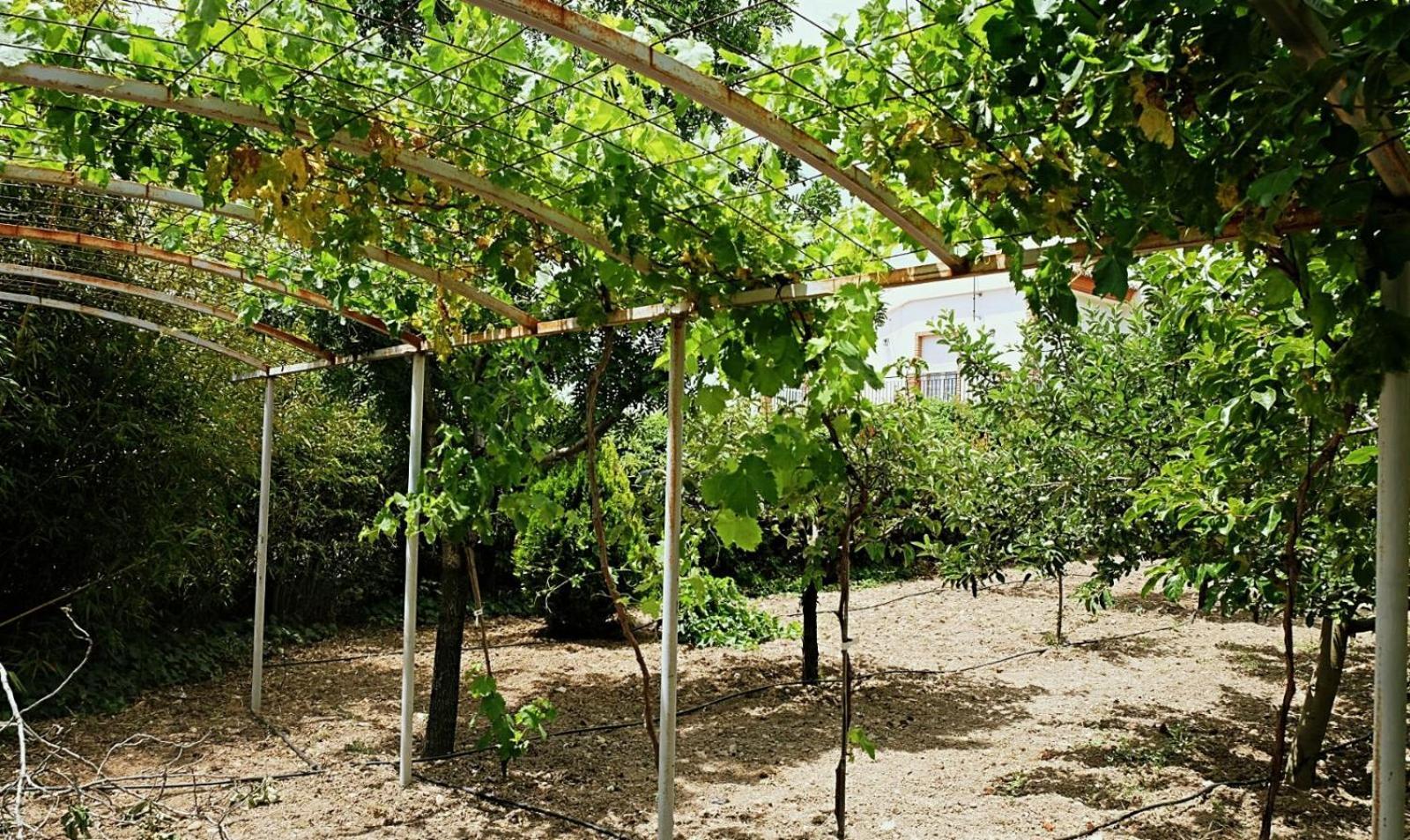 Casa Los Rosales アルファカール エクステリア 写真