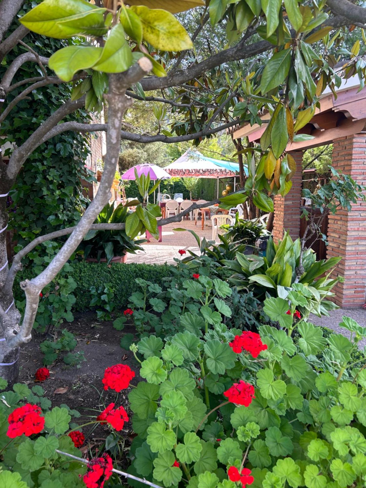 Casa Los Rosales アルファカール エクステリア 写真