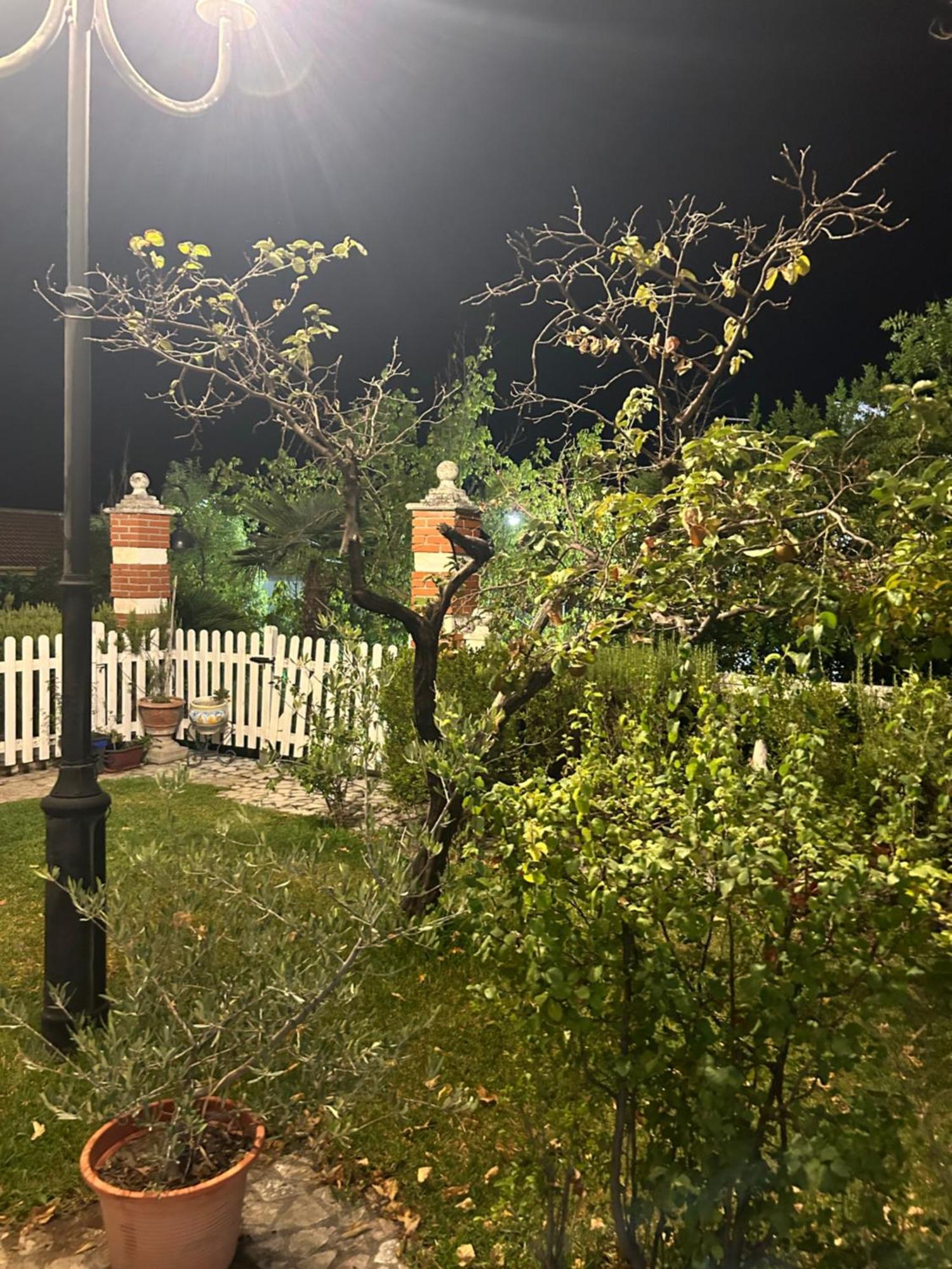 Casa Los Rosales アルファカール エクステリア 写真
