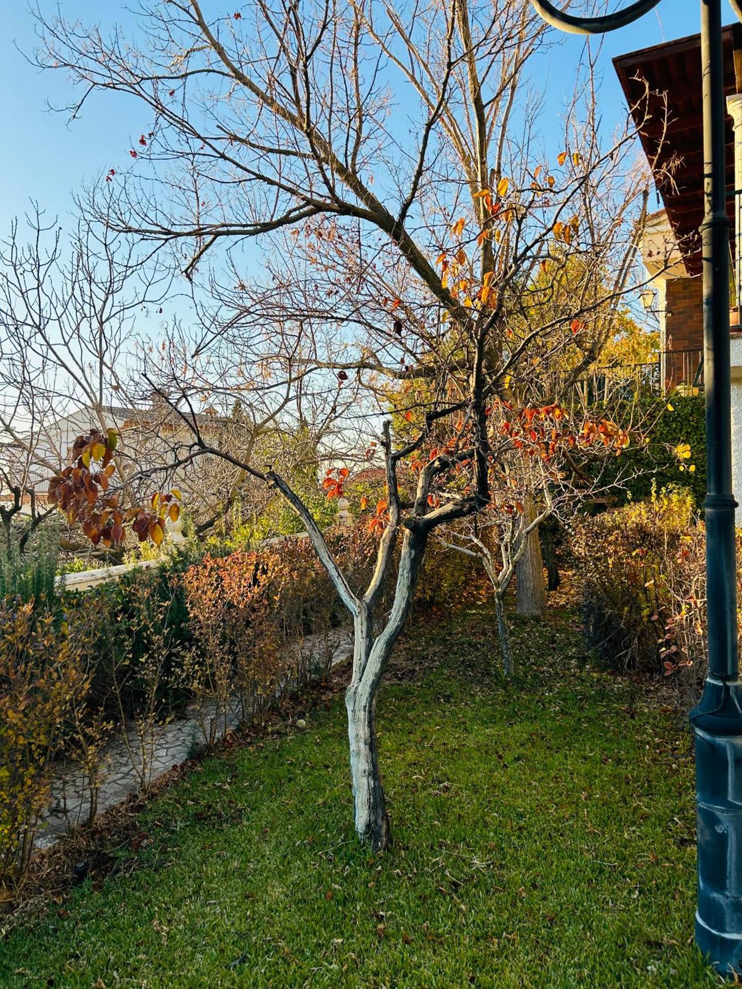 Casa Los Rosales アルファカール エクステリア 写真
